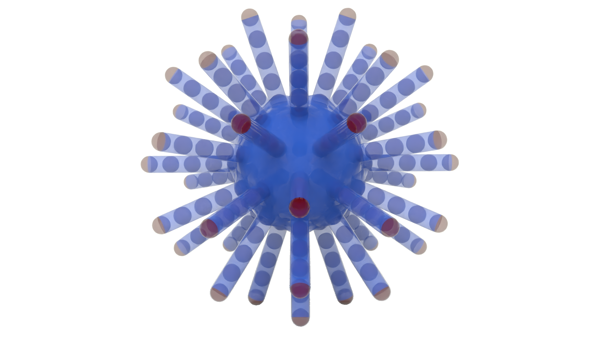 Medial mesh for a squishy spiky ball